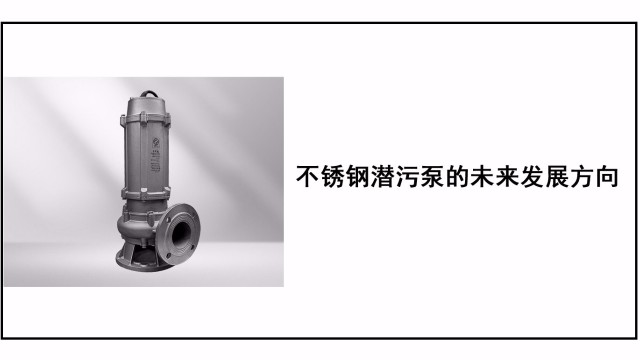 不銹鋼潛污泵的未來(lái)發(fā)展方向