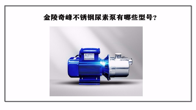 金陵奇峰不銹鋼尿素泵有哪些型號？